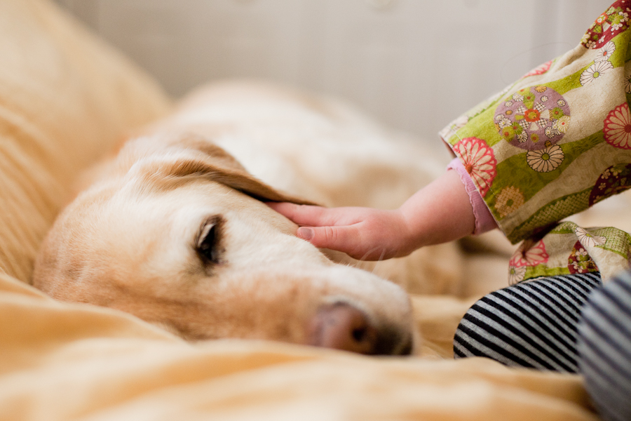 JamyBeecherPhotography-4