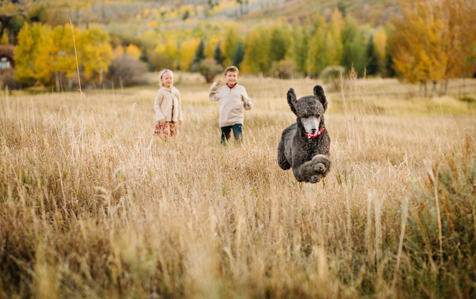 jamybeecherphotography-3