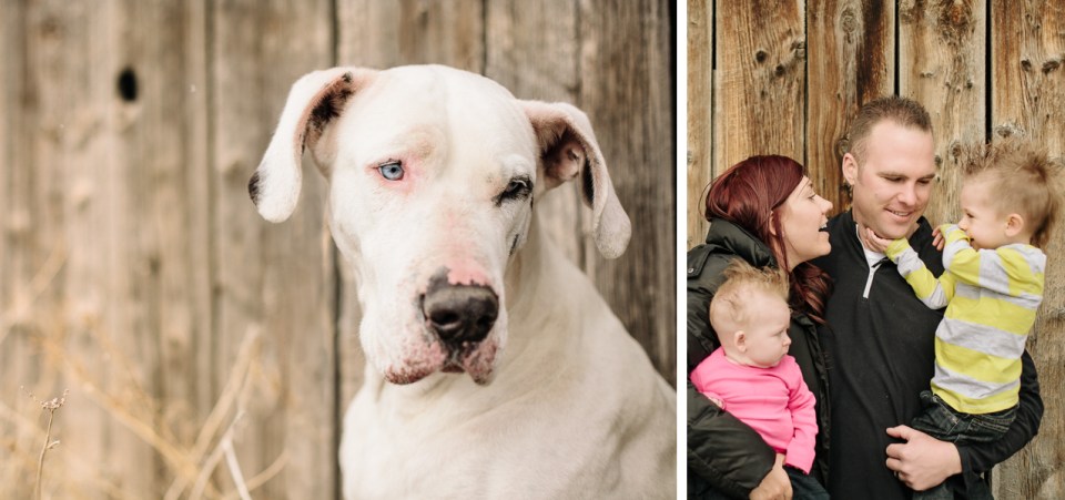 FamilyGreatDane