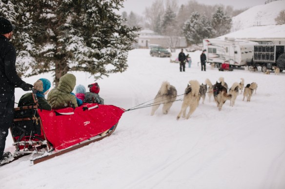 DogSledRideParkCity
