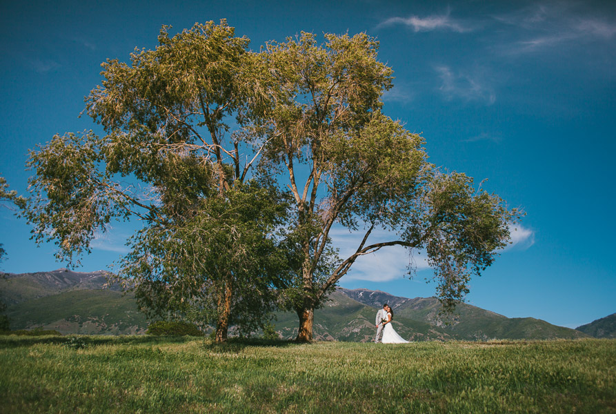 jmbeecherphotography-15