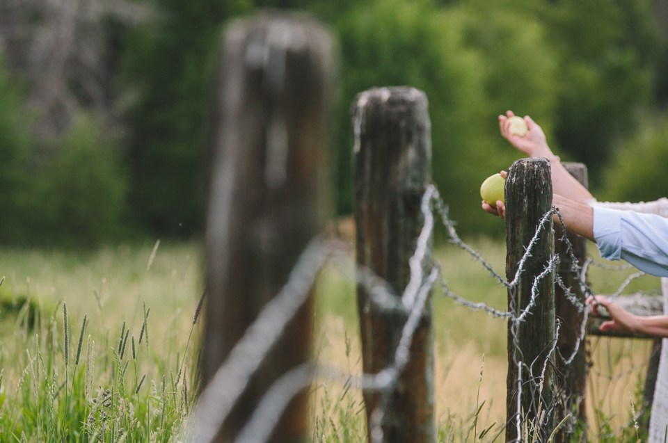 JBPhotographyblog-10